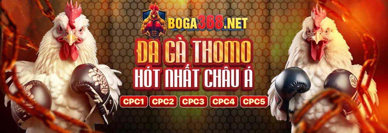 Đá gà trực tuyến x8 game bài 2026